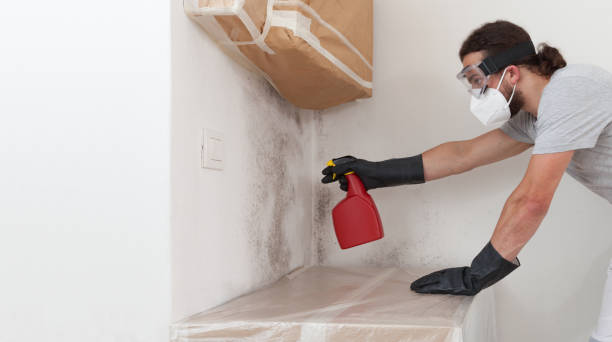 Professional Basement Mold Remediation technician working in Cameron, NC