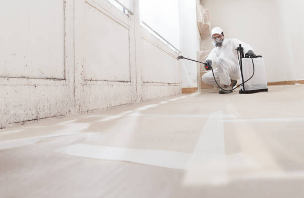 24/7 Emergency Basement Mold Remediation experts in Cameron, NC