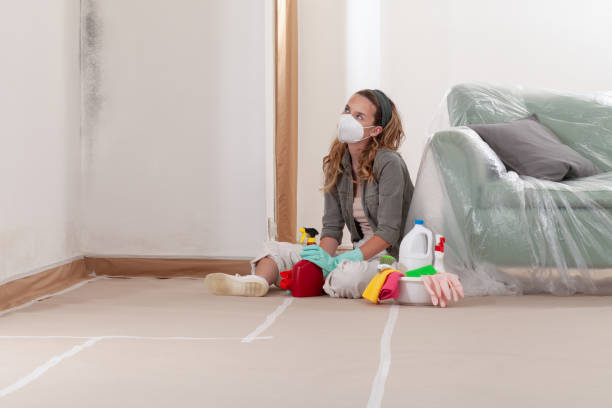 Reliable Basement Mold Remediation contractor in Cameron, NC by WQB Mold Removal